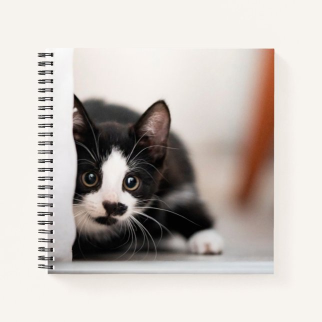 Cuaderno Cutest Baby Animals | Black & White Kitten (Anverso)