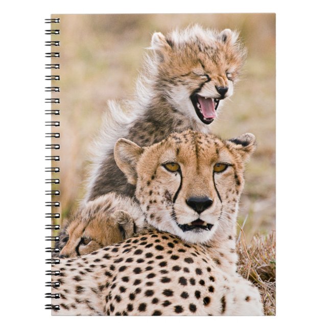 Cuaderno Cutest Baby Animals | Cheetah Cat & Cub (Frente)