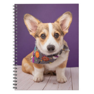Cuaderno Cutest Baby Animals Halloween Corgi
