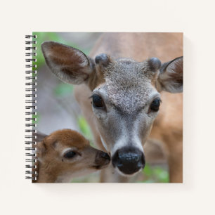Cuaderno Cutest Baby Animals   Key Deer Stag & Fawn