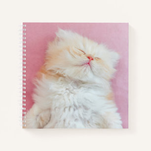 Cuaderno Cutest Baby Animals   Lovely Kitten Sleeping