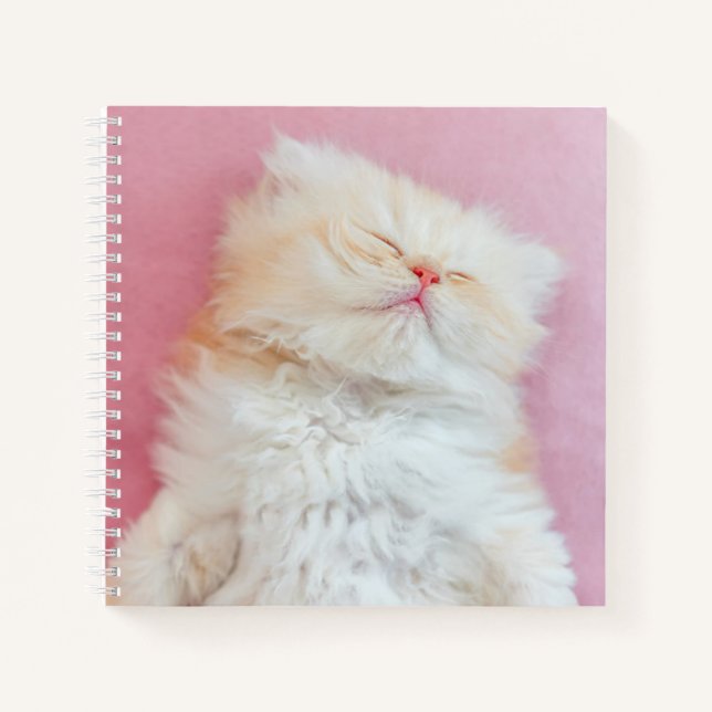Cuaderno Cutest Baby Animals | Lovely Kitten Sleeping (Anverso)