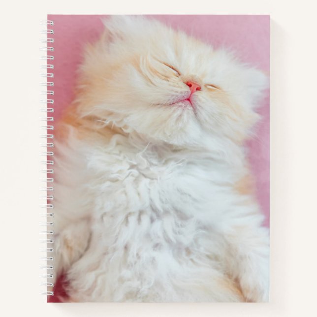 Cuaderno Cutest Baby Animals | Lovely Kitten Sleeping (Anverso)