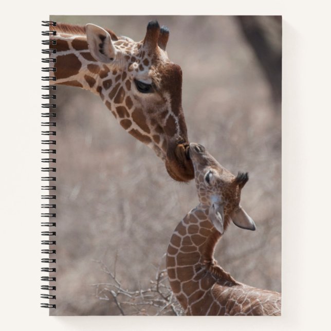 Cuaderno Cutest Baby Animals | Mother and Baby Giraffe (Anverso)