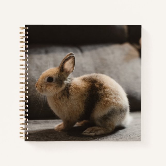 Cuaderno Cutest Baby Animals | Netherland Dwarf Rabbit (Anverso)