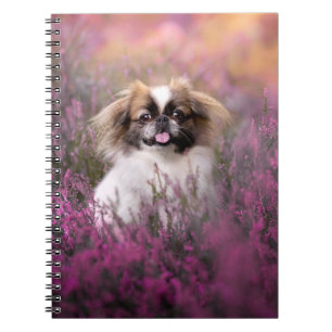 Cuaderno Cutest Baby Animals   Pekingese Puppy