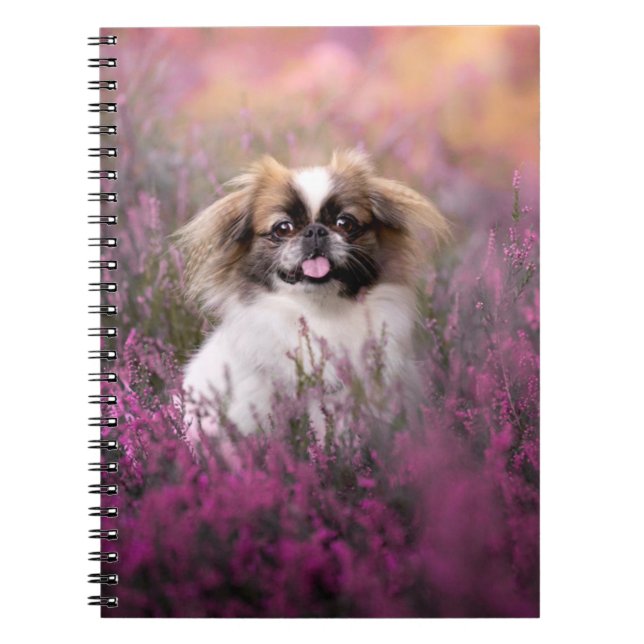 Cuaderno Cutest Baby Animals | Pekingese Puppy (Frente)
