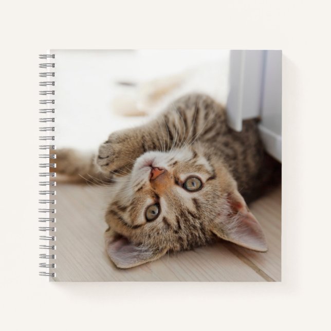 Cuaderno Cutest Baby Animals | Shorthair Tabby Kitten (Anverso)