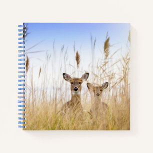 Cuaderno Cutest Baby Animals Two Young White Tailed Deer