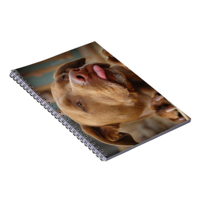 Cuaderno Cuto chocolate Lab Pit Mix Dog (Lado Derecho)