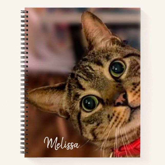 Cuaderno Cuto tabby Cat personalizado (Anverso)