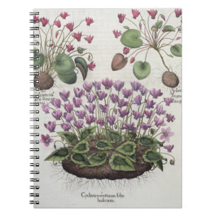 Cuaderno Cyclamen: hederaceis de los foliis del serotinum