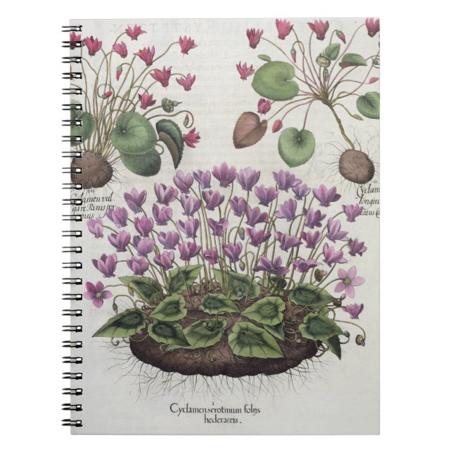 Cuaderno Cyclamen: hederaceis de los foliis del serotinum (Frente)