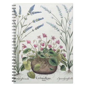 Cuaderno Cyclamen y lavanda: 1.Cyclamen Romanum; 2.Spica