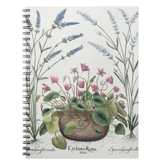 Cuaderno Cyclamen y lavanda: 1.Cyclamen Romanum; 2.Spica (Frente)
