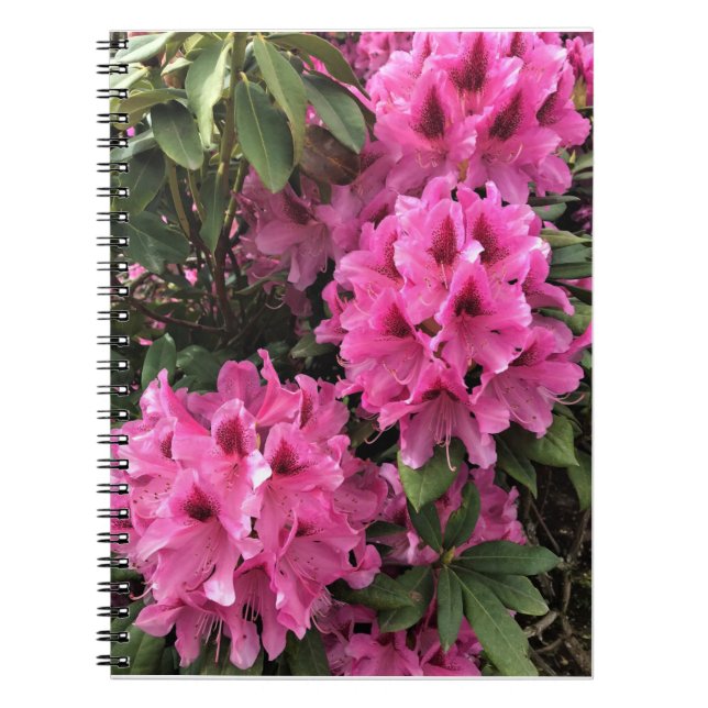 Cuaderno Cynthia Rododendros, Oregón (Frente)