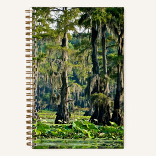 Cuaderno Cypress Sketch Book - 001