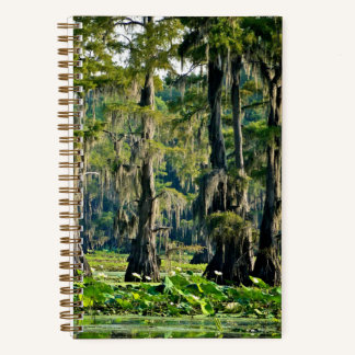 Cuaderno Cypress Sketch Book - 001