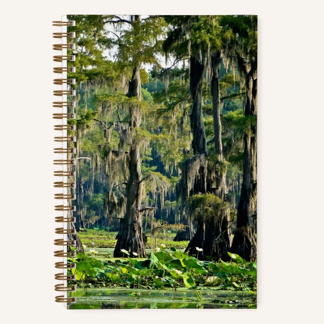 Cuaderno Cypress Sketch Book - 001 (Anverso)