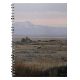 Cuaderno D10 Colinas de venado y hierba dulce de cola blanc