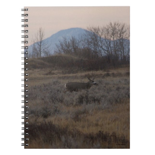 Cuaderno D12 Mule Deer Buck and Sweet Grass Hills (Frente)