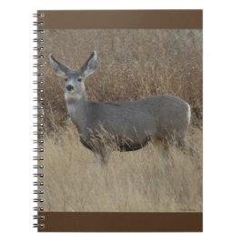 Cuaderno D14 Mule Deer Doe