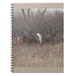 Cuaderno D1 Cúmulos de primavera de ciervos de cola blanca