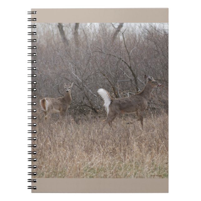 Cuaderno D1 Cúmulos de primavera de ciervos de cola blanca  (Frente)