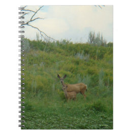 Cuaderno D5 Mule Deer Doe and Fawn