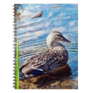 Cuaderno Dabbling Ripples
