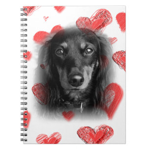 Cuaderno Dachshund con corazones rojos
