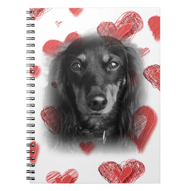 Cuaderno Dachshund con corazones rojos (Frente)