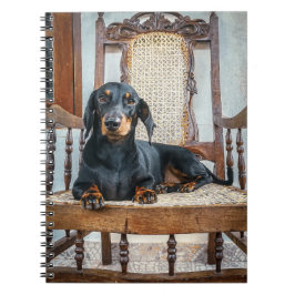 Cuaderno Dachshund Cute