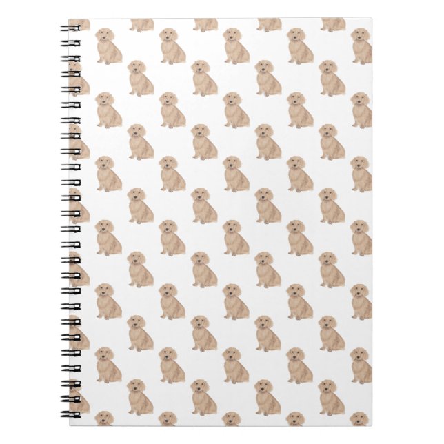 Cuaderno Dachshund (Largo Haired, Apricot Rojo) (Frente)