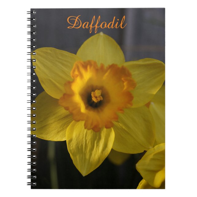 Cuaderno Daffodil amarillo (Frente)