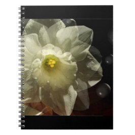Cuaderno Daffodil Dreams