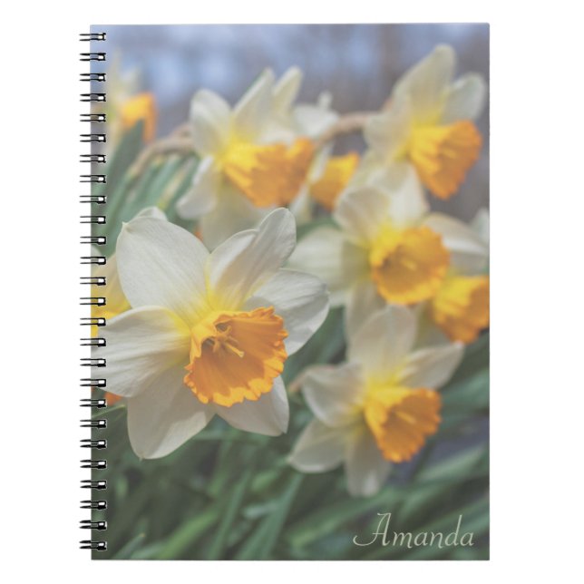 Cuaderno Daffodils alegres (descoloridos) (Frente)