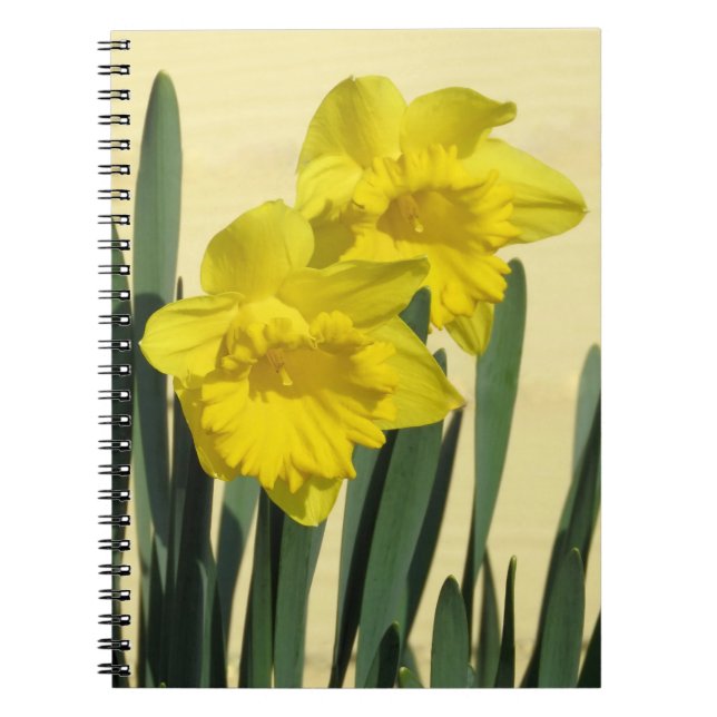 Cuaderno Daffodils - portátil (Frente)