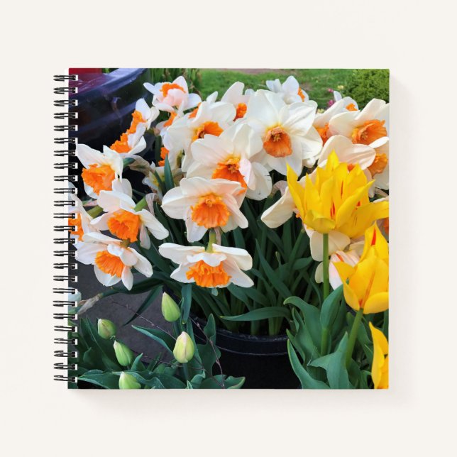 Cuaderno Daffodils & Tulips, Oregón (Anverso)