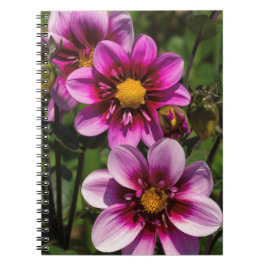 Cuaderno Dahlia Trio
