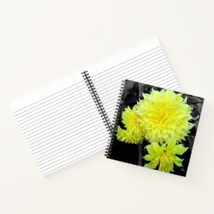 Cuaderno Dahlias Amarillas Gigantes