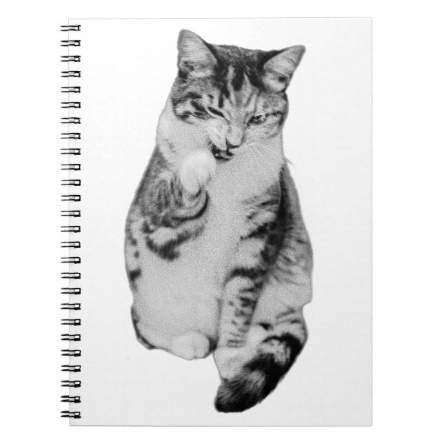 Cuaderno Daily Groom (Frente)