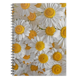 Cuaderno Daisies blancos: Hermoso fondo floral