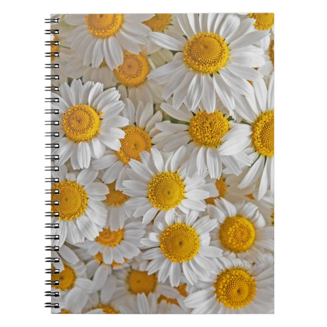 Cuaderno Daisies blancos: Hermoso fondo floral (Frente)