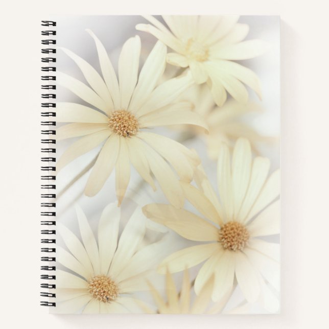 Cuaderno 'Daisies oníricos 2' (Anverso)