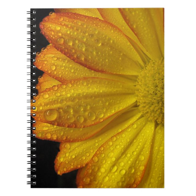 Cuaderno Daisy (Frente)