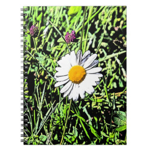 Cuaderno Daisy