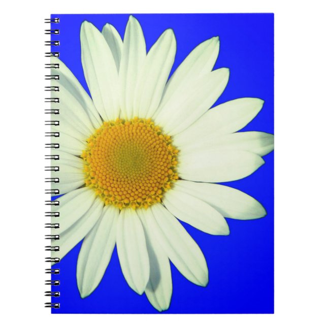 Cuaderno Daisy (Frente)