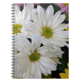 Cuaderno Daisy