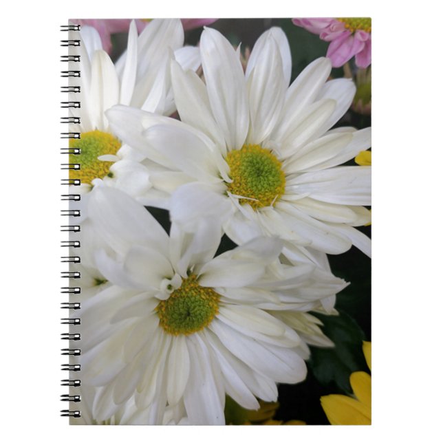 Cuaderno Daisy (Frente)